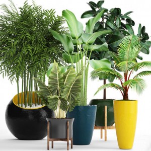 现代苏铁竹子绿植盆栽-模型ID【63941】