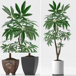 现代绿植盆栽-模型ID【70610】