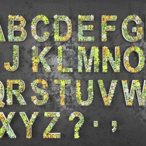 现代字母多肉植物墙墙饰-模型ID【74488】
