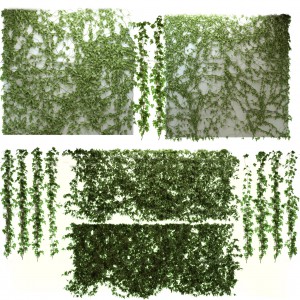 现代爬山虎绿植藤蔓-模型ID【74836】