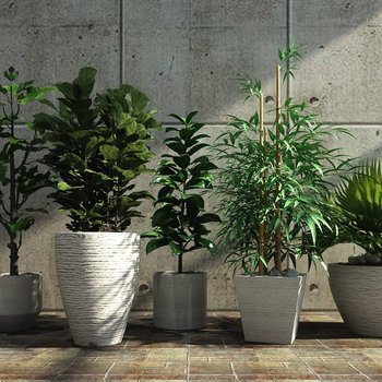 现代绿植盆栽-模型ID【89430】