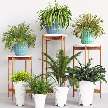 现代绿植盆栽-模型ID【94583】
