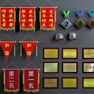 现代锦旗奖牌金牌奖状红旗组合-模型ID【106308】