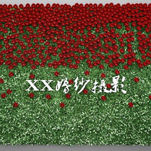 现代玫瑰植物墙-模型ID【127551】