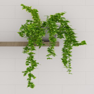现代绿植盆栽-模型ID【128101】