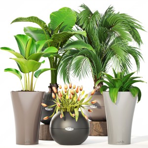现代绿植盆栽-模型ID【139907】