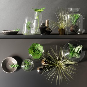 现代玻璃花瓶水生植物-模型ID【141770】