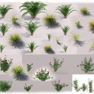 现代蕨类花草绿植-模型ID【143534】
