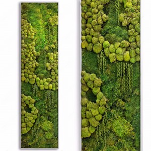 现代苔藓墙植物墙-模型ID【146902】