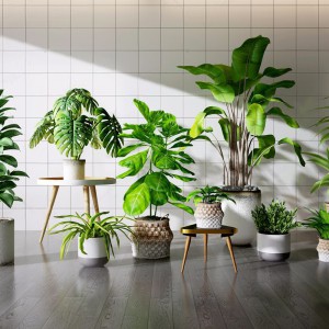 现代绿植盆栽-模型ID【166532】