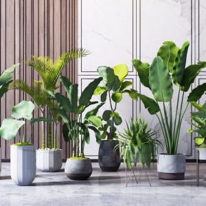 现代绿植盆栽-模型ID【176805】