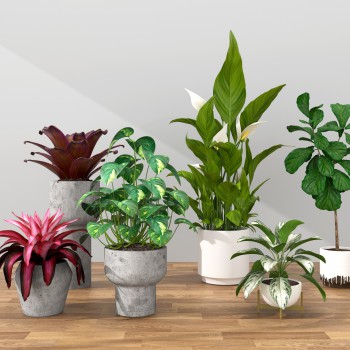 Modern Potted Green Plant-ID:619102178