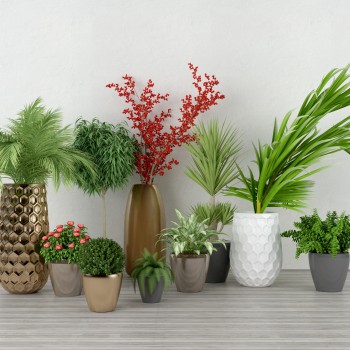 Modern Potted Green Plant-ID:476909577