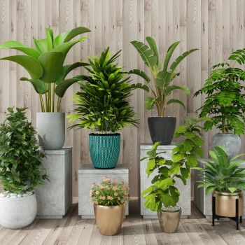 Modern Potted Green Plant-ID:480943446