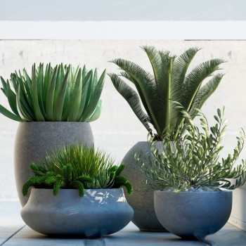 Modern Potted Green Plant-ID:384646817