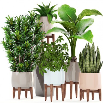Nordic Style Potted Green Plant-ID:284456867