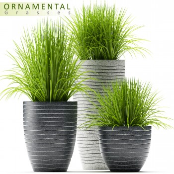 Modern Potted Green Plant-ID:347900149