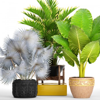 Modern Potted Green Plant-ID:354937711