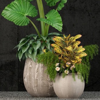 Modern Potted Green Plant-ID:320500165