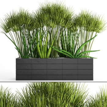 Modern Potted Green Plant-ID:380593397