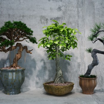 New Chinese Style Potted Green Plant-ID:108366836