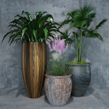Modern Potted Green Plant-ID:613588285