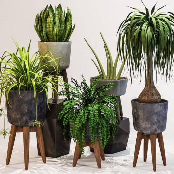 Nordic Style Potted Green Plant-ID:553671794