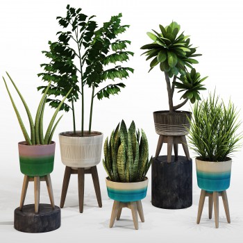 Modern Potted Green Plant-ID:550064386