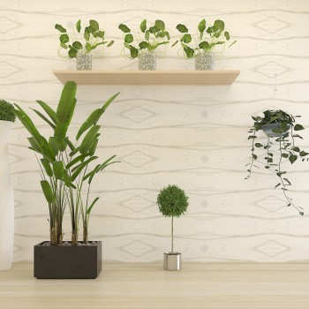 Modern Potted Green Plant-ID:906924473