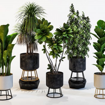 Modern Potted Green Plant-ID:546416692