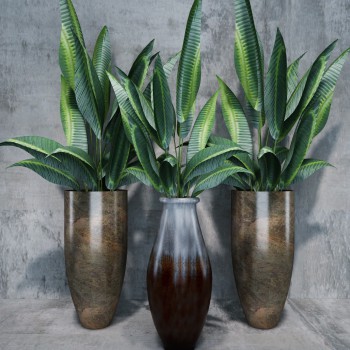 Modern Potted Green Plant-ID:104426638