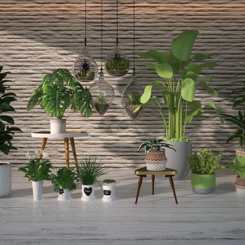 Modern Potted Green Plant-ID:890149478