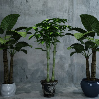 Modern Potted Green Plant-ID:966330325