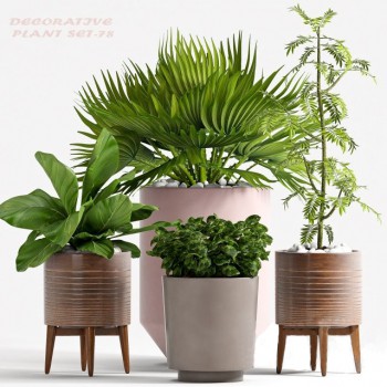 Modern Potted Green Plant-ID:681518467