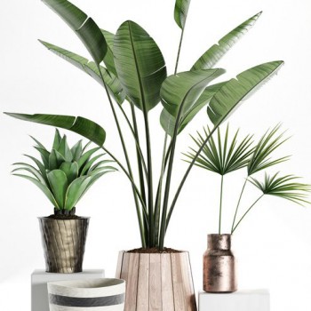 Modern Potted Green Plant-ID:658023794