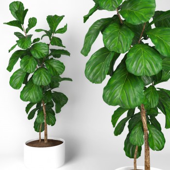 Modern Potted Green Plant-ID:321710275