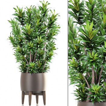 Modern Potted Green Plant-ID:495789538