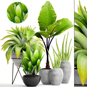 Modern Potted Green Plant-ID:633739142