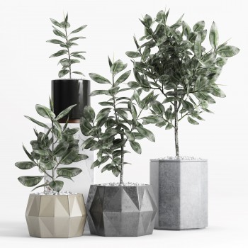 Modern Potted Green Plant-ID:426163356