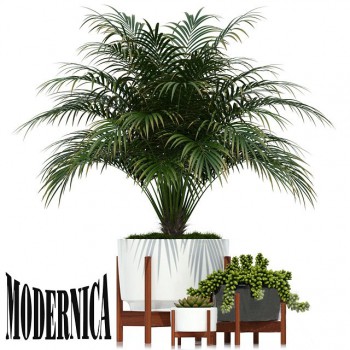 Modern Potted Green Plant-ID:693310349