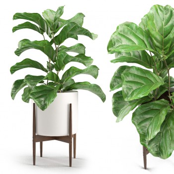 Modern Potted Green Plant-ID:329348171