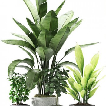 Modern Potted Green Plant-ID:410539266