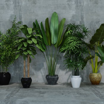 Modern Potted Green Plant-ID:236472337