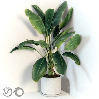 Modern Potted Green Plant-ID:649536799