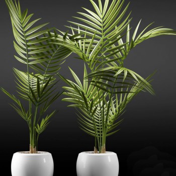 Modern Potted Green Plant-ID:665806888