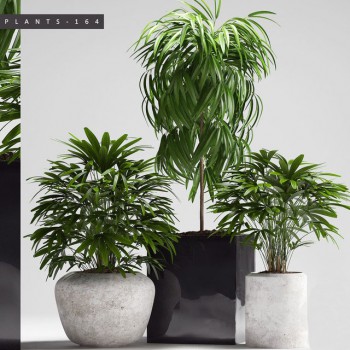 Modern Potted Green Plant-ID:621751685