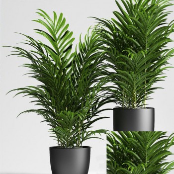 Modern Potted Green Plant-ID:689509458