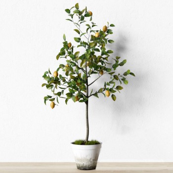 Modern Potted Green Plant-ID:309868745