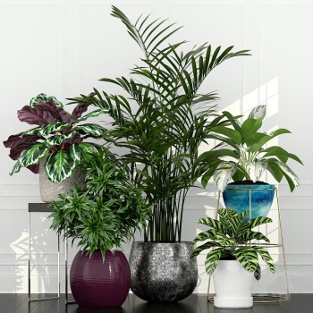 Modern Potted Green Plant-ID:602124187