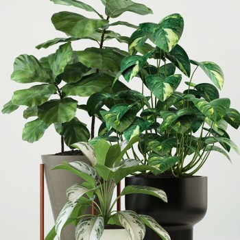 Modern Potted Green Plant-ID:325546961